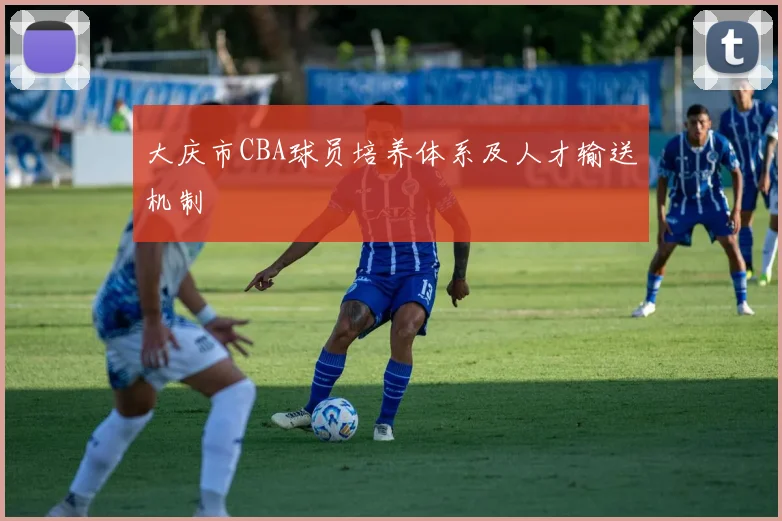 大庆市CBA球员培养体系及人才输送机制