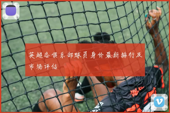 英超各俱乐部球员身价最新排行及市场评估